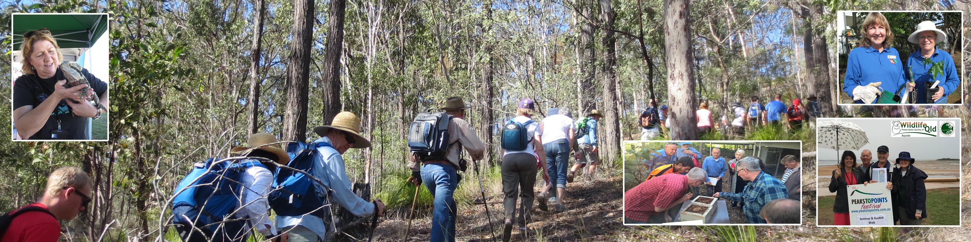 Peaks to Points Festival 2018