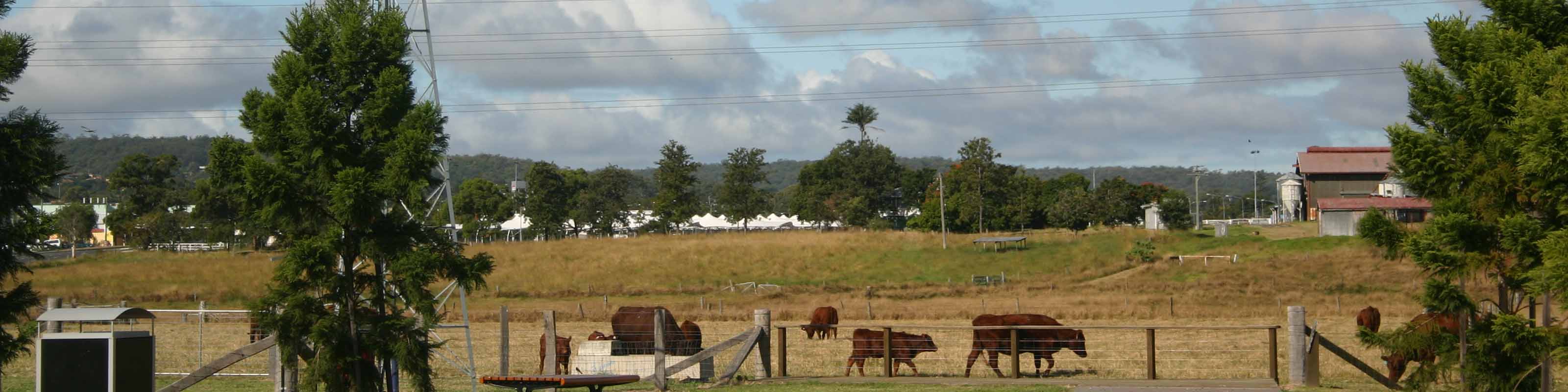 OCCA General Meeting – ‘Grassroots Conservation – Strategies and Challenges’ 