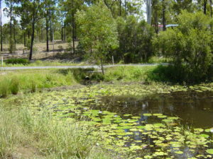 General photos of upper catchment.