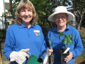 community garden launch