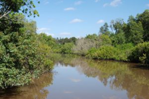 creek2