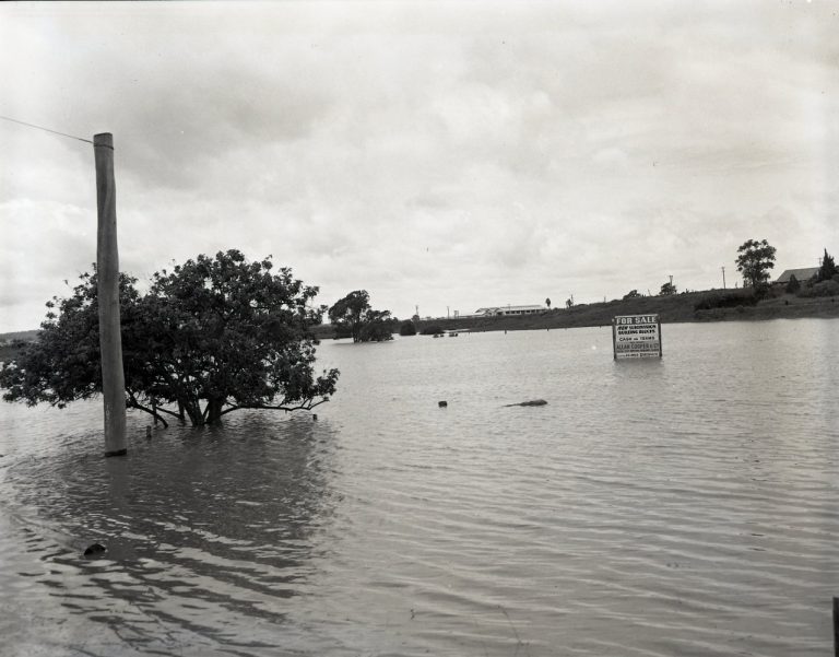 1955 Flood Looking From Johnstone Street Towards Sherwood Road